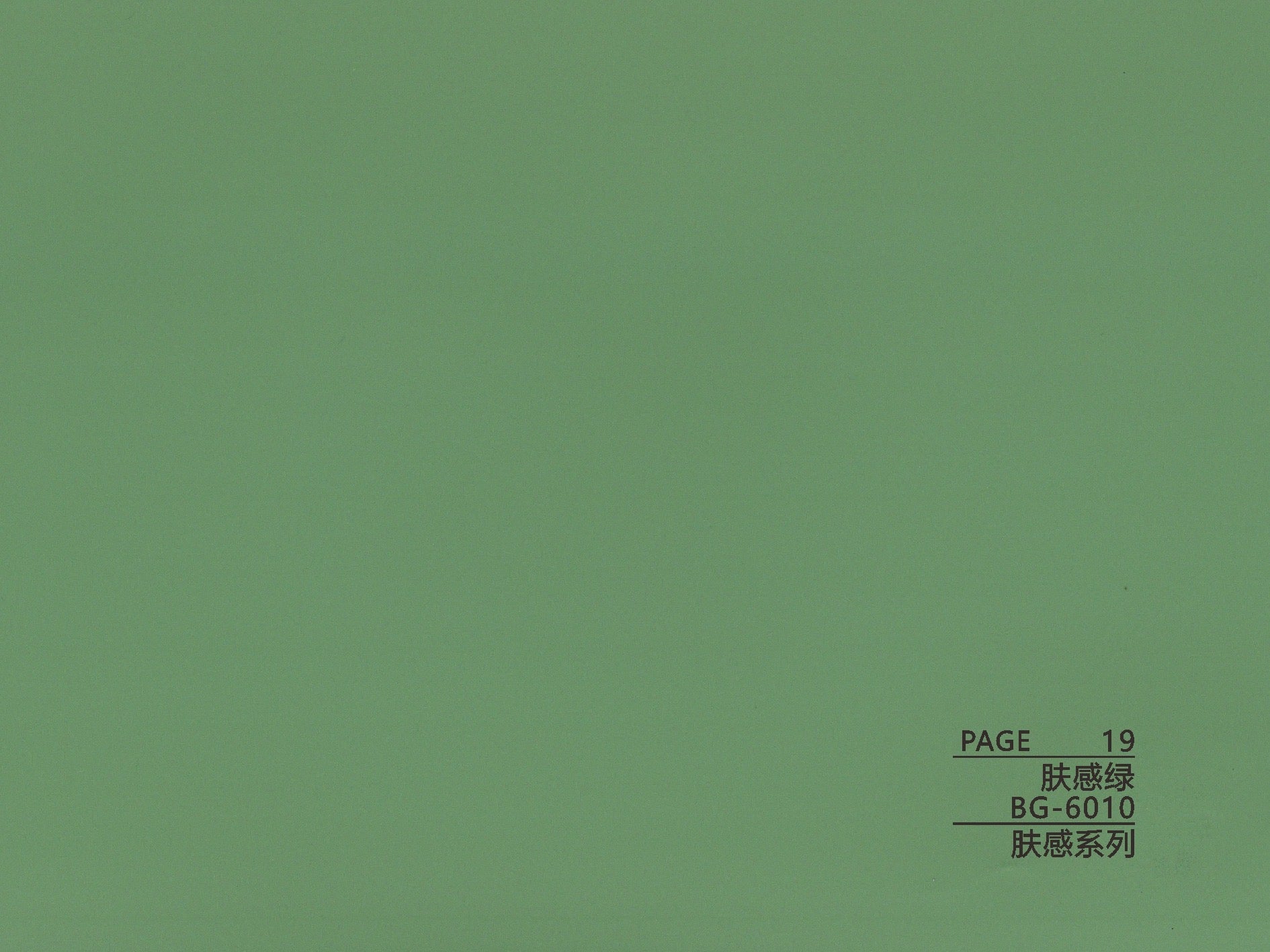 BG-6 Series Skin Feel BG-6010